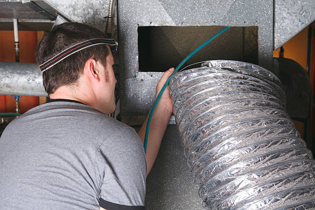 Best Air Duct Mold Removal  in Velda City, MO