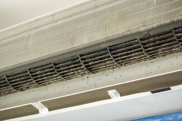 Best HVAC Air Duct Cleaning  in Velda City, MO